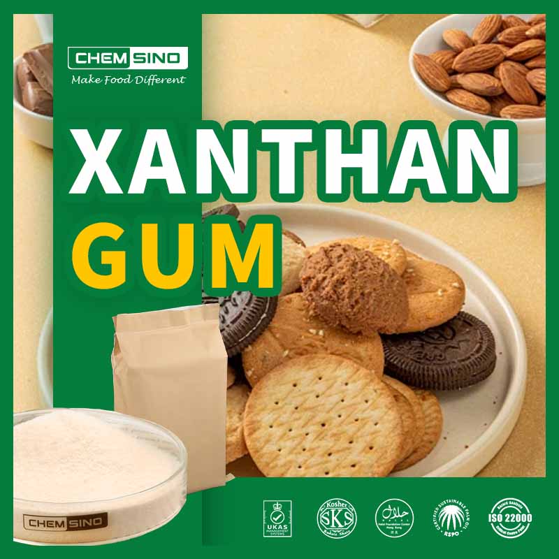 Xanthan Gum E415 Emulsifier CAS No. 11138-66-2